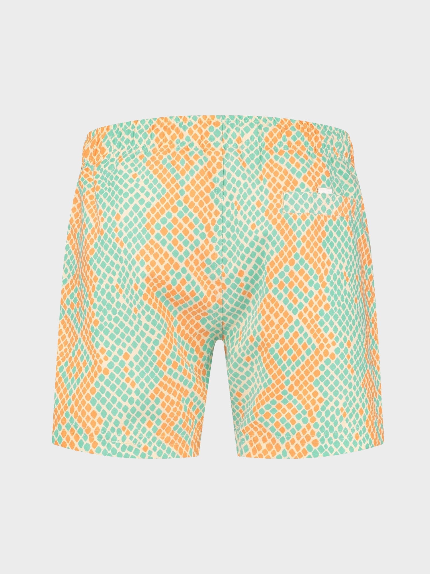 Zwembroek heren slangenprint Animaux Troupeau Tropical Snake Back Zwembroek heren slangenprint Animaux Troupeau Tropical Snake Back